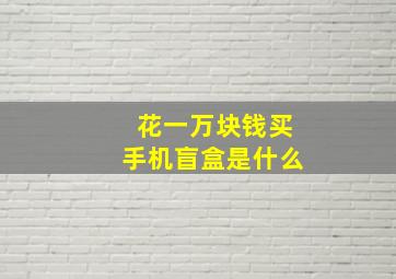 花一万块钱买手机盲盒是什么