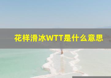 花样滑冰WTT是什么意思