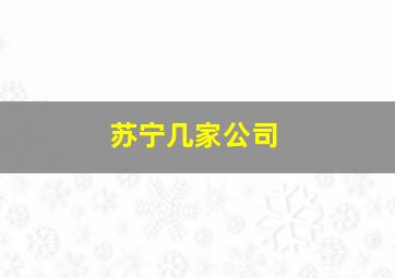 苏宁几家公司