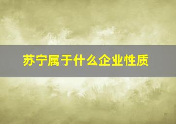 苏宁属于什么企业性质