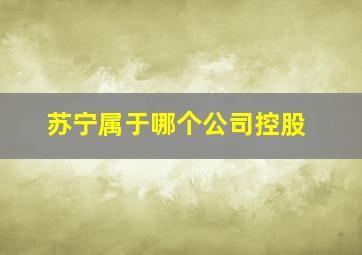 苏宁属于哪个公司控股