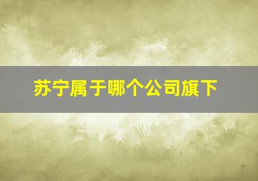 苏宁属于哪个公司旗下