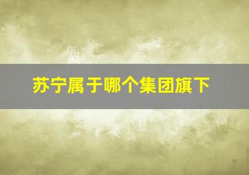 苏宁属于哪个集团旗下