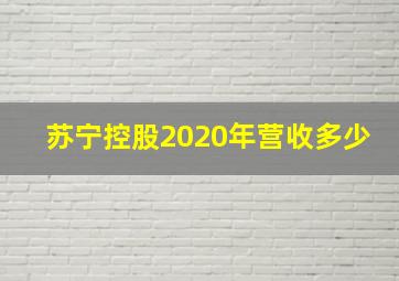 苏宁控股2020年营收多少