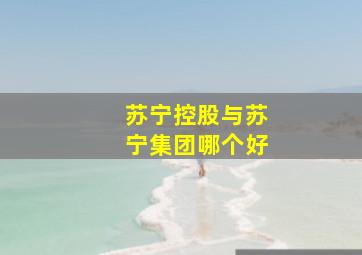 苏宁控股与苏宁集团哪个好