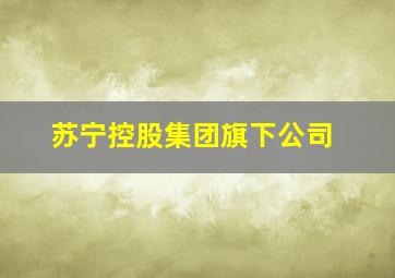 苏宁控股集团旗下公司