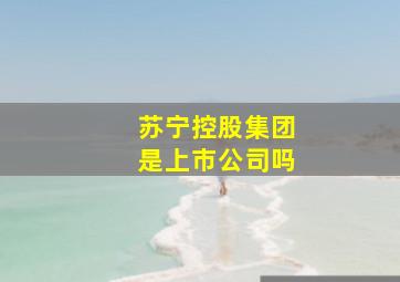 苏宁控股集团是上市公司吗