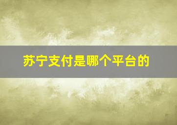 苏宁支付是哪个平台的