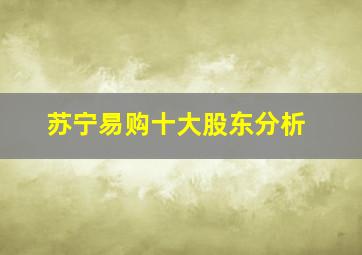 苏宁易购十大股东分析