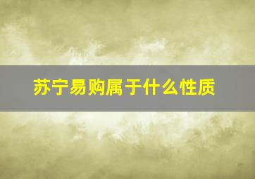 苏宁易购属于什么性质