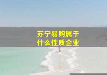 苏宁易购属于什么性质企业