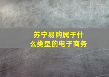 苏宁易购属于什么类型的电子商务