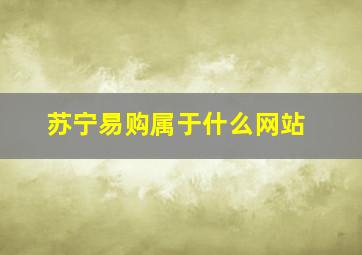 苏宁易购属于什么网站