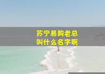 苏宁易购老总叫什么名字啊