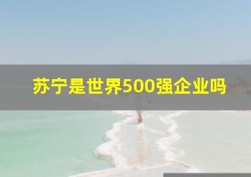 苏宁是世界500强企业吗