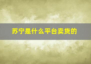 苏宁是什么平台卖货的