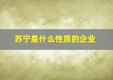 苏宁是什么性质的企业