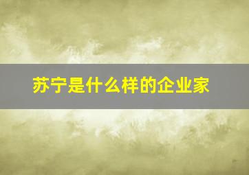 苏宁是什么样的企业家