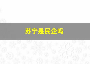 苏宁是民企吗