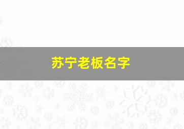 苏宁老板名字