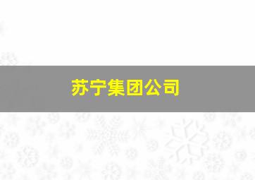 苏宁集团公司