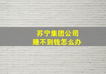 苏宁集团公司赚不到钱怎么办