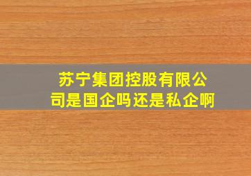 苏宁集团控股有限公司是国企吗还是私企啊