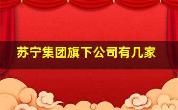 苏宁集团旗下公司有几家