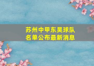 苏州中甲东吴球队名单公布最新消息