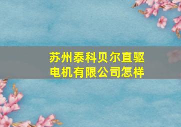 苏州泰科贝尔直驱电机有限公司怎样