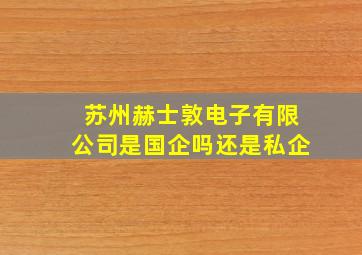 苏州赫士敦电子有限公司是国企吗还是私企