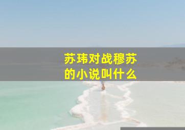 苏玮对战穆苏的小说叫什么