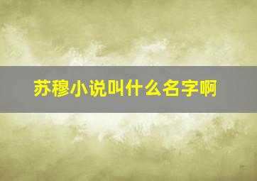 苏穆小说叫什么名字啊