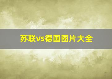 苏联vs德国图片大全