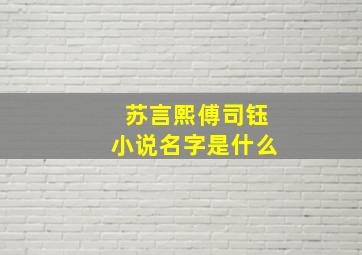 苏言熙傅司钰小说名字是什么