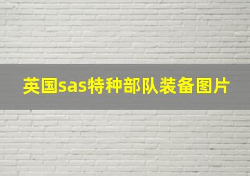 英国sas特种部队装备图片