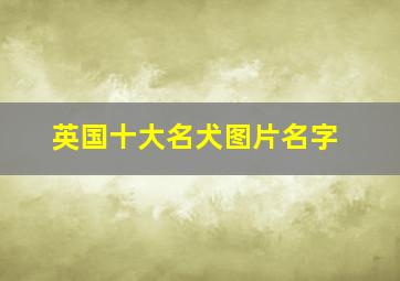 英国十大名犬图片名字