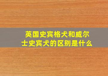 英国史宾格犬和威尔士史宾犬的区别是什么