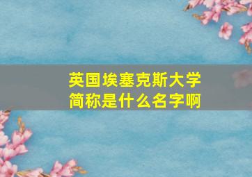 英国埃塞克斯大学简称是什么名字啊