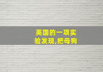 英国的一项实验发现,把母狗