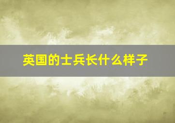 英国的士兵长什么样子