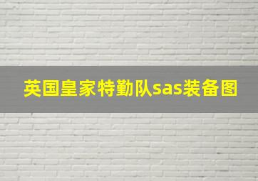 英国皇家特勤队sas装备图