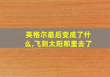 英格尔最后变成了什么,飞到太阳那里去了