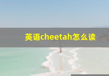 英语cheetah怎么读