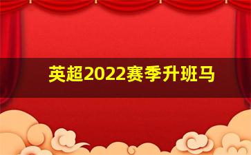 英超2022赛季升班马