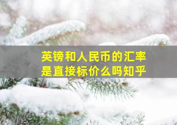 英镑和人民币的汇率是直接标价么吗知乎