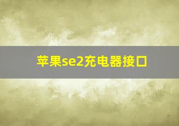 苹果se2充电器接口