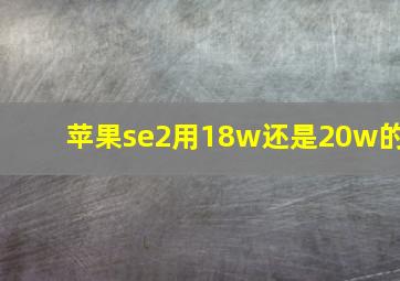 苹果se2用18w还是20w的