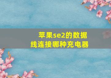 苹果se2的数据线连接哪种充电器