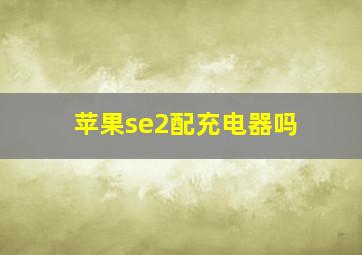 苹果se2配充电器吗